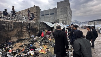 Más de 50 ONG critican