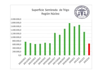 trigo