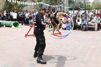 Brigada Canina de Miraflores