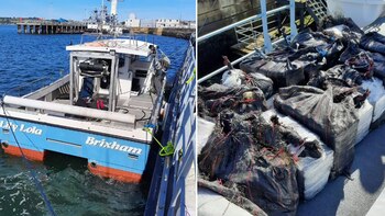 Los paquetes de cocaína incautados