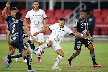 Los Pumas cuentan con un