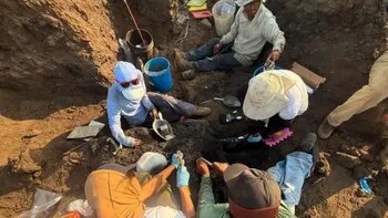 Científicos de Perú, EE. UU., México y Canadá exploran en Talara uno de los sitios paleontológicos más importantes del Perú