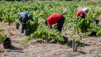 La Seguridad Social pierde 139.000