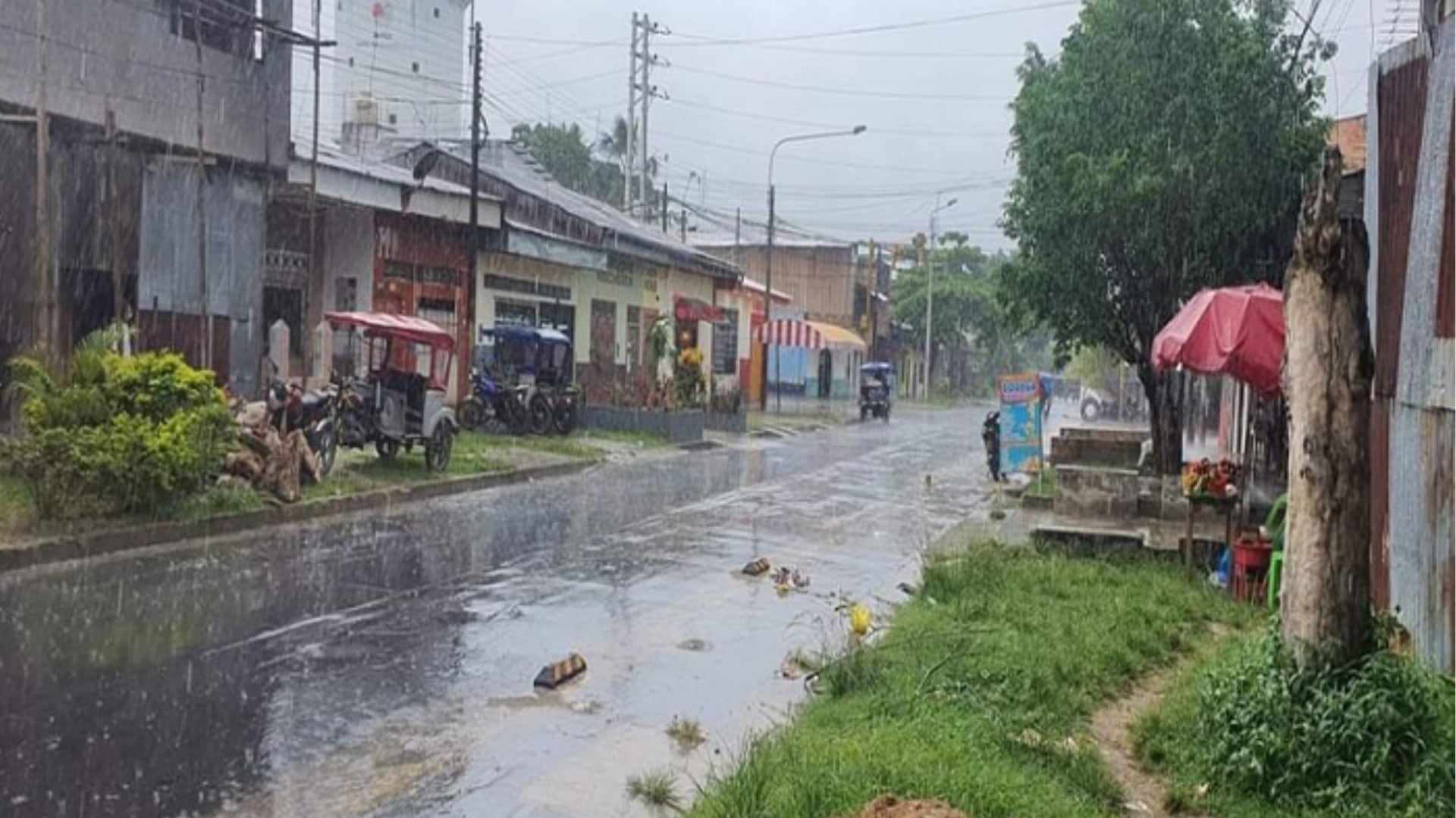 Senamhi activa nivel naranja por fenómeno meteorológico que afectará la selva hasta el lunes. (Foto: Agencia Andina)