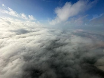 Desde el inicio de su