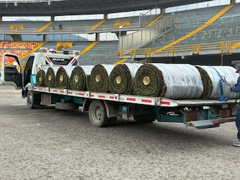 Rollos de grama trasladados del vivero al estadio Nemesio Camacho El Campín - crédito Sencia