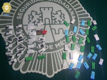 IMAGEN DE REFERENCIA |