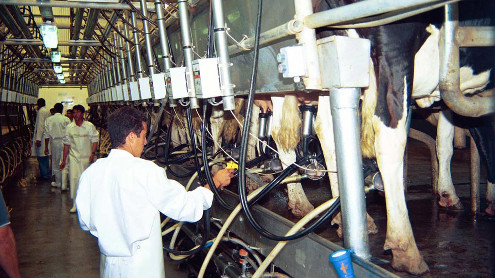 Savencia es el grupo francés detrás de Milkaut e Ilolay, dos de las marcas líderes del mercado lácteo argentino. Opera en el país desde la década de 1990