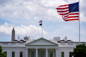 Afirman que Trump organizó el