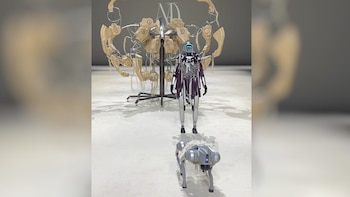 En video: el debut de