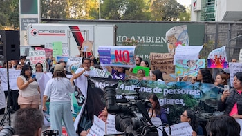 Activistas se manifiestan en oficinas de Semarnat, exigen resolución definitiva tras cancelación de proyecto turístico en Mahahual