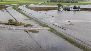 Campo inundado en Santa Fe.
