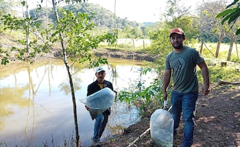 Autoridades e investigadores impulsan estrategias