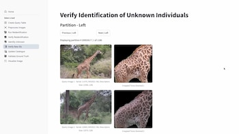 Captura de pantalla de un programa con un menú lateral y fotografías de jirafas junto a recortes ampliados de su patrón de piel