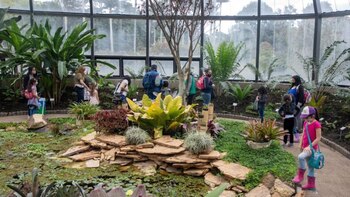 Agenda: estas son las actividades