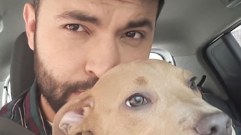 Influenciador que perdió a su perro aquejado por un cáncer anunció que donará el alimento de su mascota: esto deben hacer los interesados en recibirlo