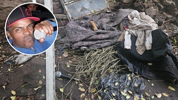 Todas las imágenes de la