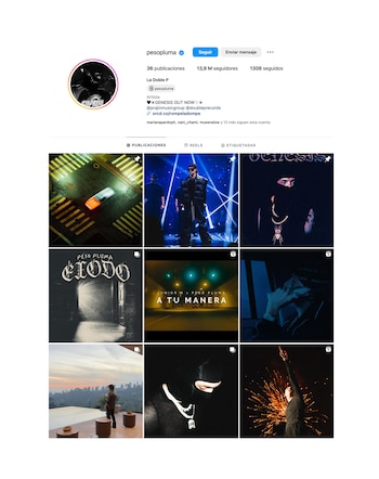 El perfil de Peso Pluma,