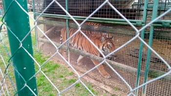 La intervención de los organismos