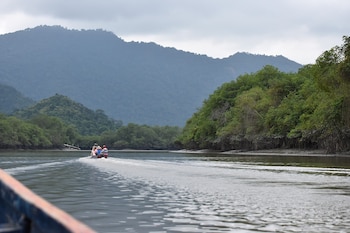 Reserva Ecológica Manglares Churute, en Ecuador. (Bärbel Miemietz/Wikimedia Commons)