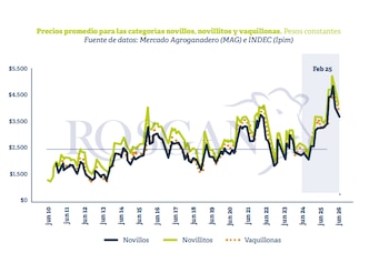 Aunque los precios de la hacienda vacuna continúan siendo elevados en términos históricos, la cautela comenzó a sentirse en el mercado ganadero, advierte el Rosgan en su análisis (Rosgan)