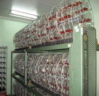 INS detecta el virus de