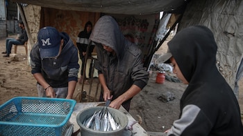 La ONU sitúa Palestina, Sudán, Sudán del Sur y Yemen como principales focos de hambre y pide ayuda efectiva