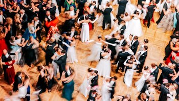 Viena Baile