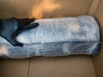 Las fuerzas federales encontraron 597.381