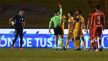 Los seleccionados son Fidel Pichel,