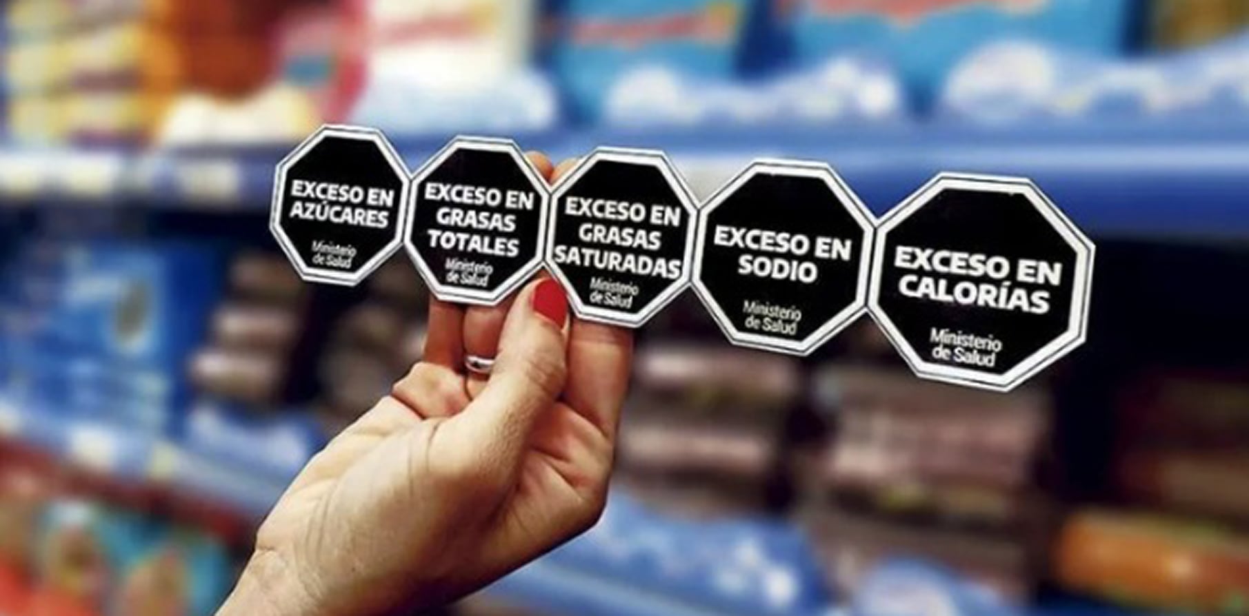 Ejemplo de octógonos de la ley de etiquetado frontal para alimentos y bebidas (Archivo del Ministerio de Salud de Neuquén)