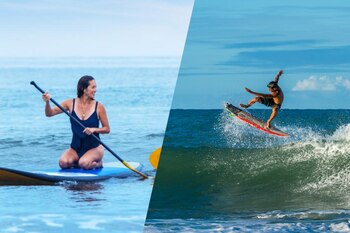 Conoce las actividades que puedes