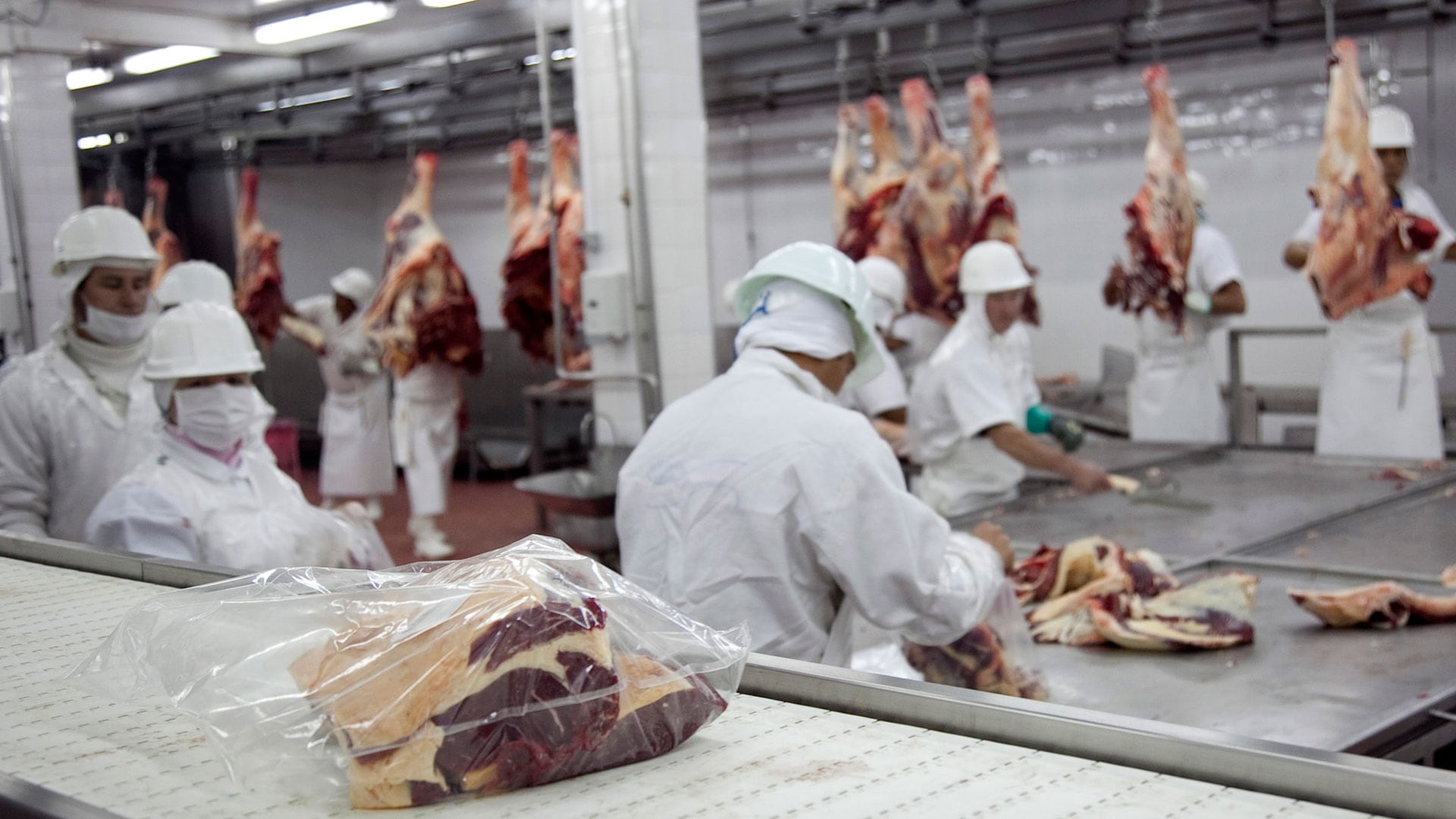 La baja en la faena bovina y aviar contrasta con el avance en la molienda de oleaginosas y la producción de biocombustibles