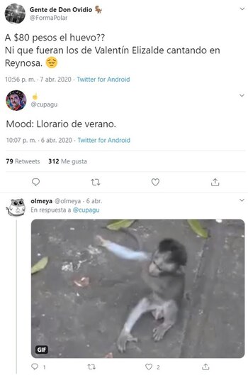 (11) 42 Tuits (Foto: Twitter)