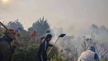 Incendio forestal consume 200 hectáreas