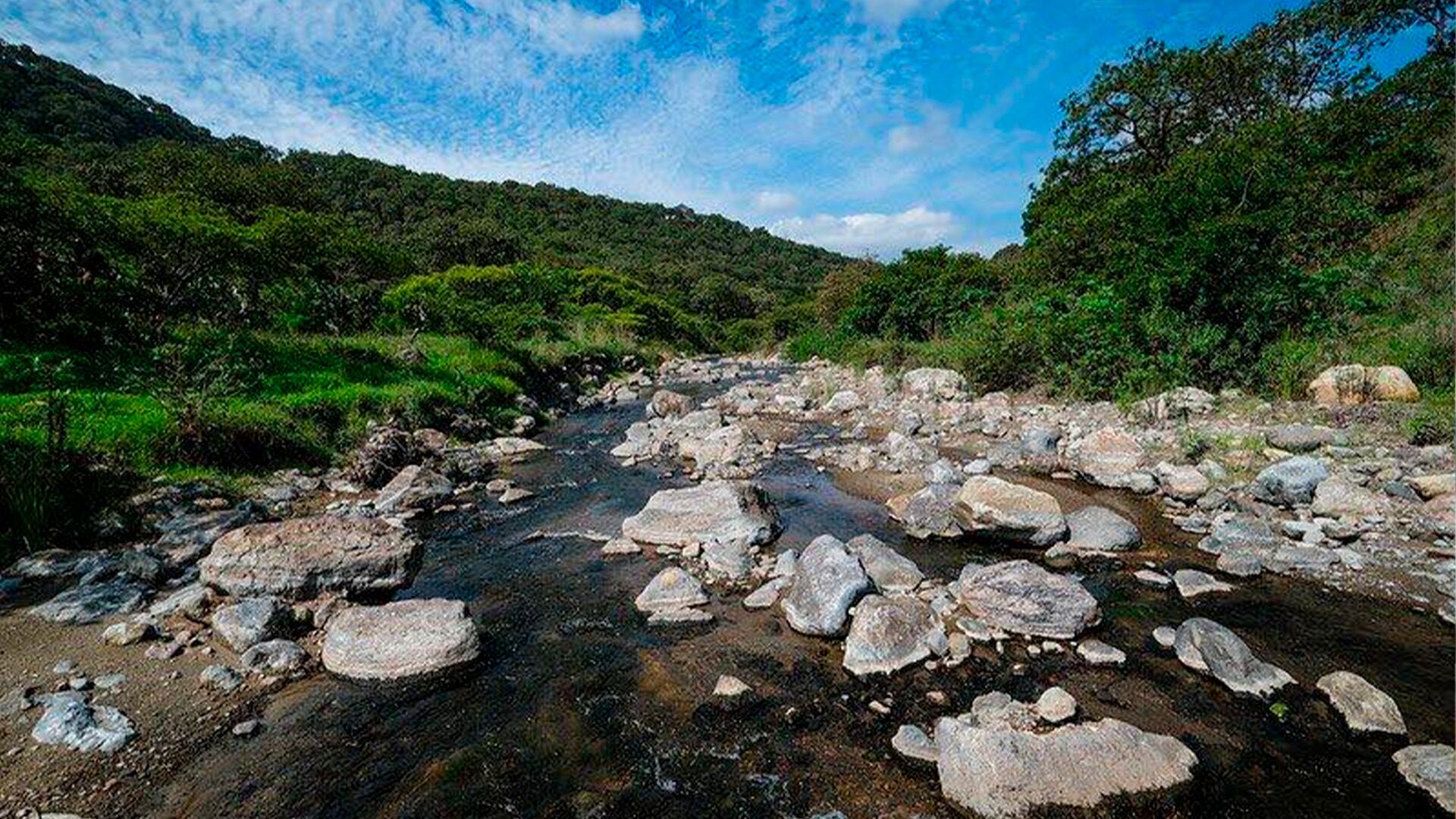 El Bosque de la Primavera perdió más de 36 hectáreas tras un incendio presuntamente iniciado por Enrique