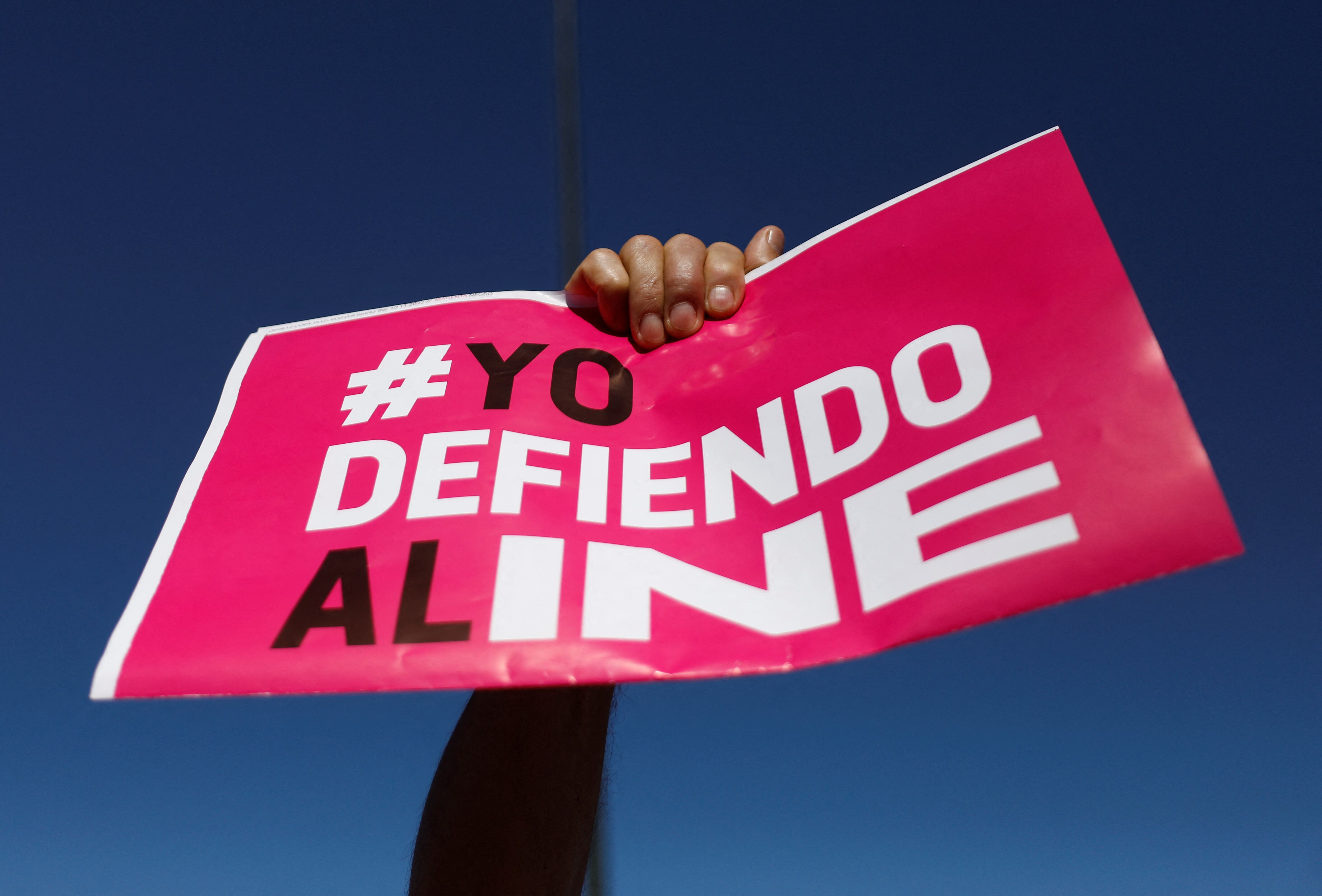 Los retrasos en la entrega del documento buscan garantizar que Pablo Gómez reciba una propuesta completa y respaldada por el INE. REUTERS/Daniel Becerril