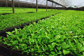 Un equipo de investigación de