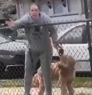 (Foto: captura de pantalla video