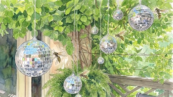 Bolas de disco en el jardín: ¿sirven realmente para alejar avispas e insectos?