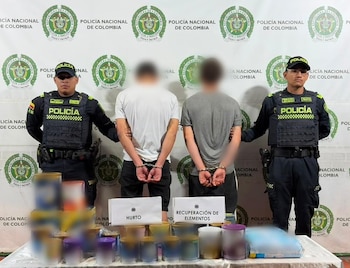Dos jóvenes se robaron 6 millones de pesos en mercancía de una droguería, en el barrio La Cabrera, en el norte de Bogotá - crédito Policía