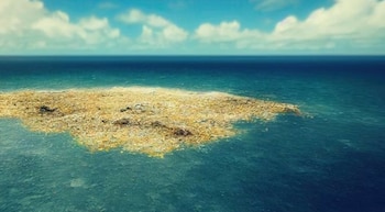 Residuos plásticos descompuestos, desechados en