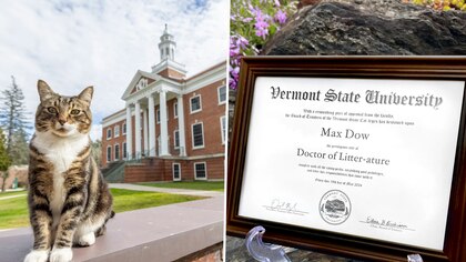 La Universidad de Vermont otorgó un título honorífico a un gato por una emotiva razón