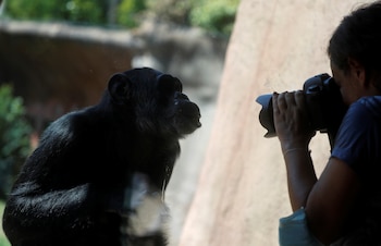En este estudio también se