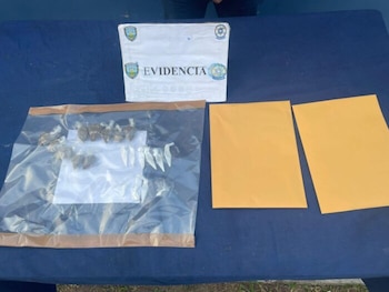 En otro hecho, las autoridades