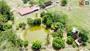 El Tribunal Superior de Medellín ordenó la extinción de dominio y la Fiscalía llevó a cabo el embargo, secuestro y suspensión de disposición sobre los activos - crédito Fiscalía