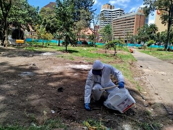 Los ciudadanos y sus mascotas