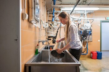 Los comederos automáticos RIC y