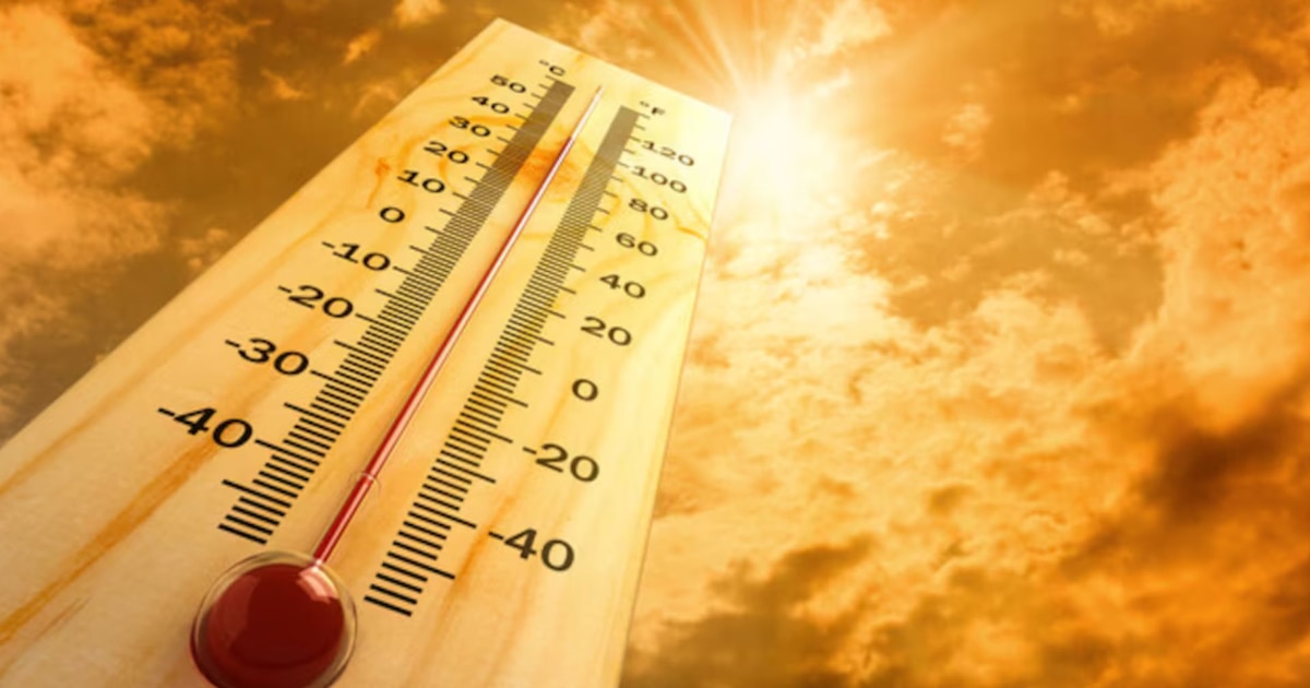 Tarifa de verano CFE 2026: cómo saber si tu recibo de luz tiene ...