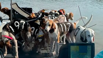 los pescadores tuvieron que hacer